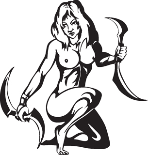 Sexy warrior girl decal 8